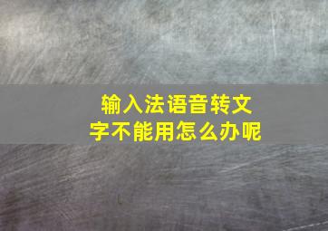 输入法语音转文字不能用怎么办呢