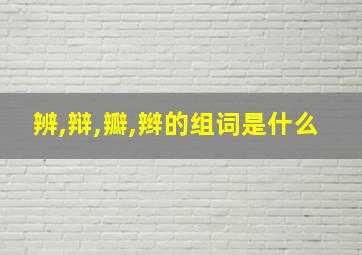 辨,辩,瓣,辫的组词是什么