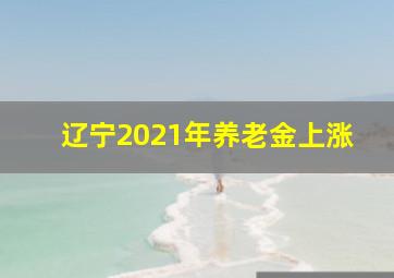 辽宁2021年养老金上涨