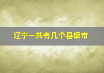 辽宁一共有几个县级市