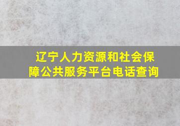 辽宁人力资源和社会保障公共服务平台电话查询