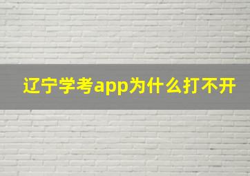 辽宁学考app为什么打不开