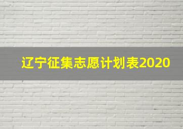 辽宁征集志愿计划表2020