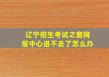 辽宁招生考试之窗网报中心进不去了怎么办