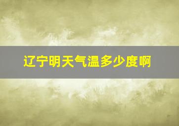 辽宁明天气温多少度啊