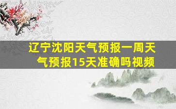 辽宁沈阳天气预报一周天气预报15天准确吗视频