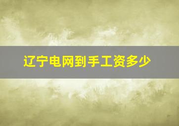 辽宁电网到手工资多少