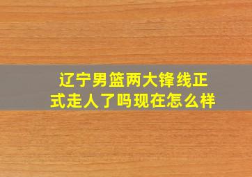 辽宁男篮两大锋线正式走人了吗现在怎么样