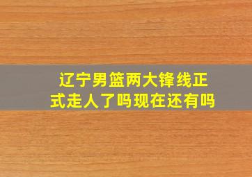 辽宁男篮两大锋线正式走人了吗现在还有吗