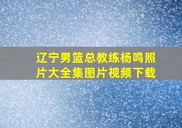 辽宁男篮总教练杨鸣照片大全集图片视频下载