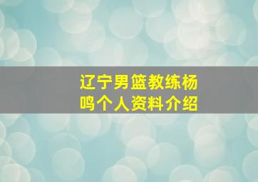 辽宁男篮教练杨鸣个人资料介绍