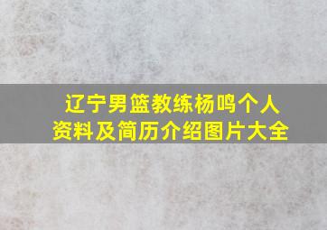 辽宁男篮教练杨鸣个人资料及简历介绍图片大全