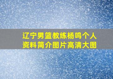 辽宁男篮教练杨鸣个人资料简介图片高清大图