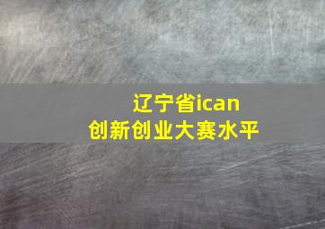 辽宁省ican创新创业大赛水平