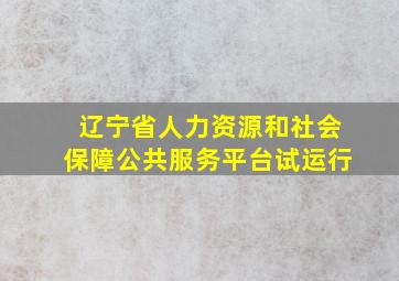 辽宁省人力资源和社会保障公共服务平台试运行