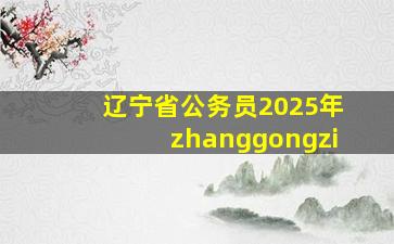 辽宁省公务员2025年zhanggongzi