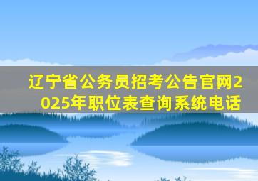 辽宁省公务员招考公告官网2025年职位表查询系统电话