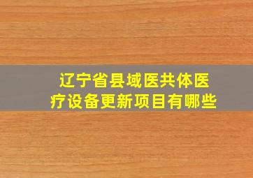 辽宁省县域医共体医疗设备更新项目有哪些