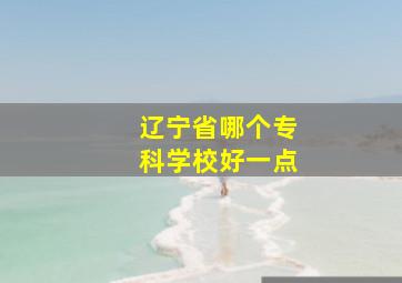 辽宁省哪个专科学校好一点