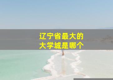 辽宁省最大的大学城是哪个