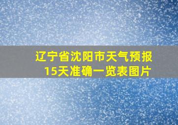 辽宁省沈阳市天气预报15天准确一览表图片