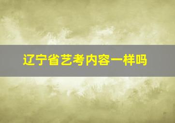 辽宁省艺考内容一样吗