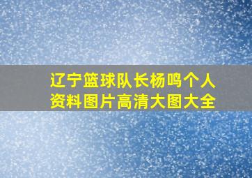 辽宁篮球队长杨鸣个人资料图片高清大图大全