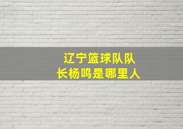 辽宁篮球队队长杨鸣是哪里人