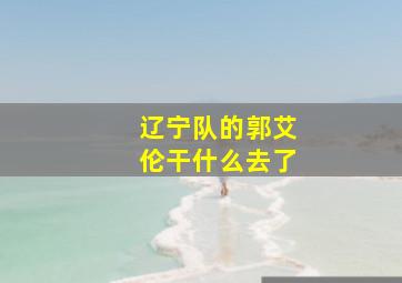 辽宁队的郭艾伦干什么去了