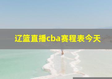 辽篮直播cba赛程表今天