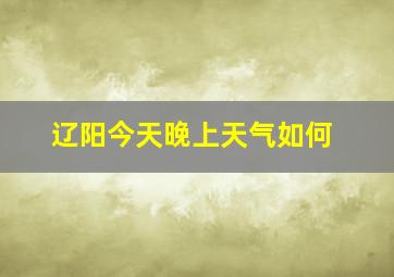 辽阳今天晚上天气如何