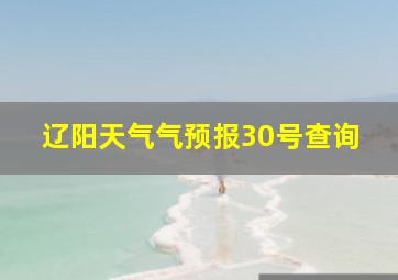 辽阳天气气预报30号查询