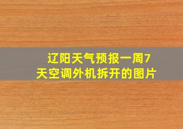 辽阳天气预报一周7天空调外机拆开的图片