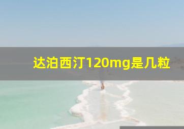 达泊西汀120mg是几粒