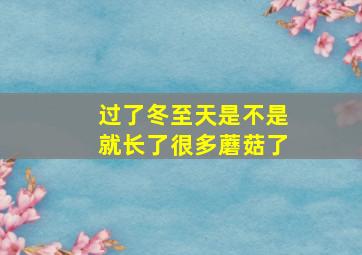 过了冬至天是不是就长了很多蘑菇了