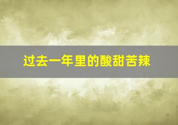 过去一年里的酸甜苦辣