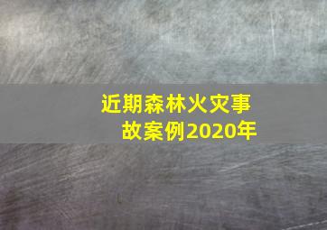 近期森林火灾事故案例2020年