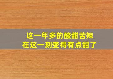 这一年多的酸甜苦辣在这一刻变得有点甜了