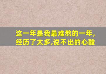 这一年是我最难熬的一年,经历了太多,说不出的心酸