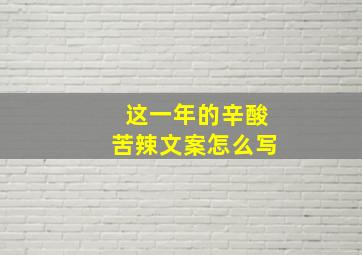 这一年的辛酸苦辣文案怎么写