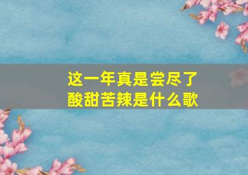 这一年真是尝尽了酸甜苦辣是什么歌