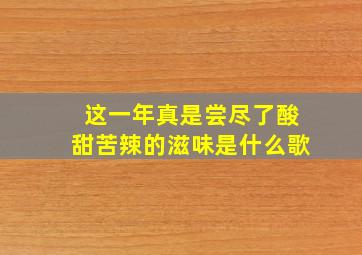 这一年真是尝尽了酸甜苦辣的滋味是什么歌