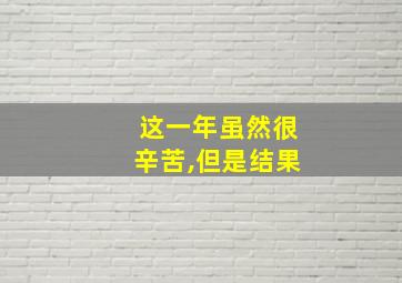 这一年虽然很辛苦,但是结果