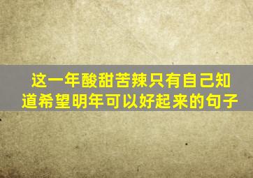 这一年酸甜苦辣只有自己知道希望明年可以好起来的句子