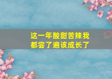 这一年酸甜苦辣我都尝了遍该成长了