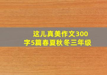 这儿真美作文300字5篇春夏秋冬三年级