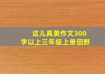 这儿真美作文300字以上三年级上册田野