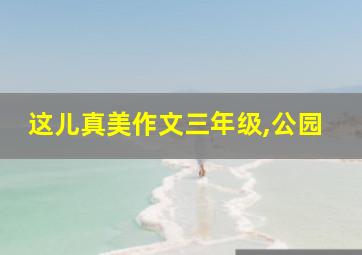 这儿真美作文三年级,公园