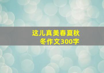 这儿真美春夏秋冬作文300字