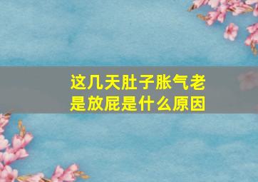 这几天肚子胀气老是放屁是什么原因